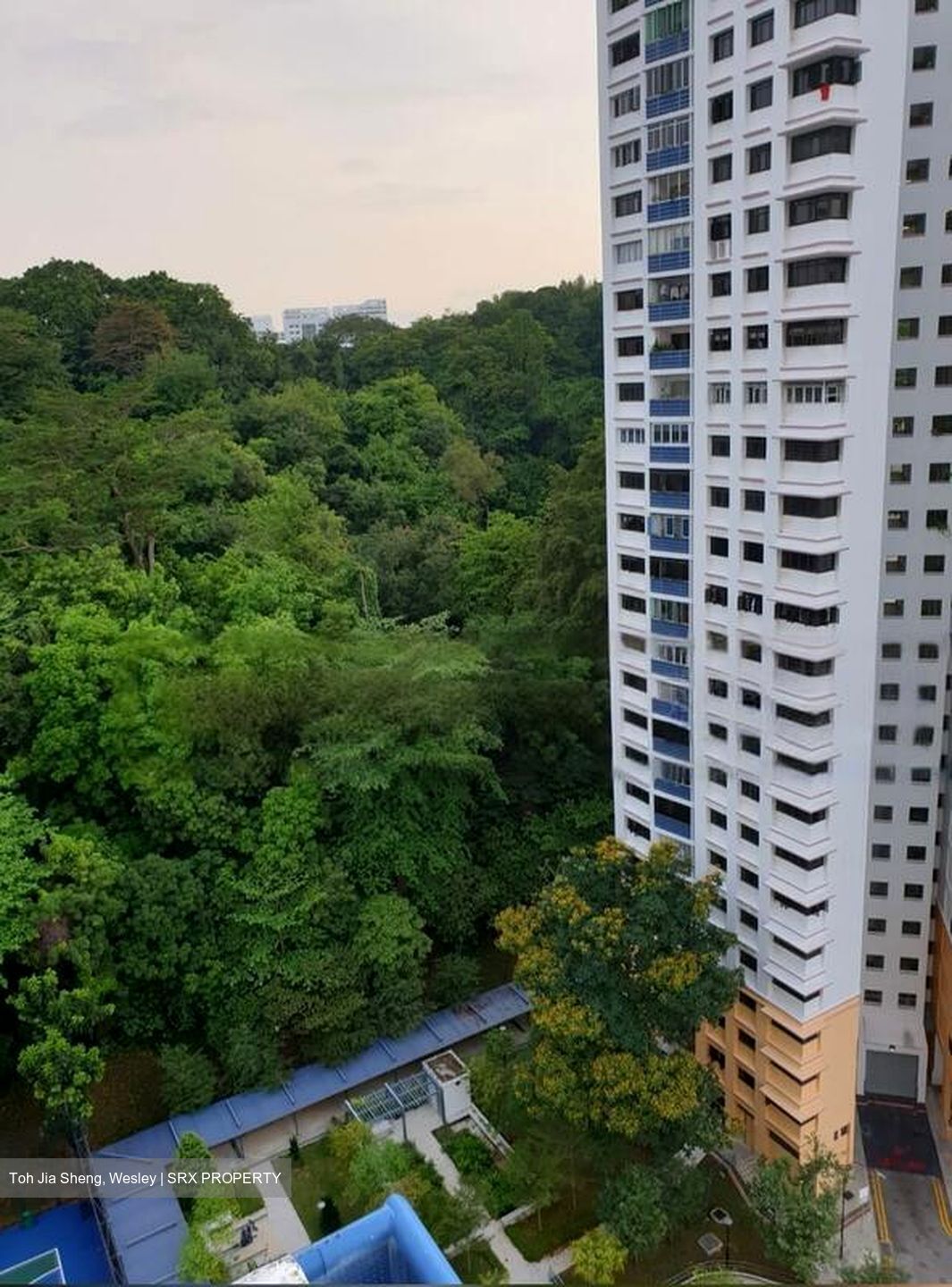 Blk 103B Depot Heights (Bukit Merah), HDB 4 Rooms #455898291